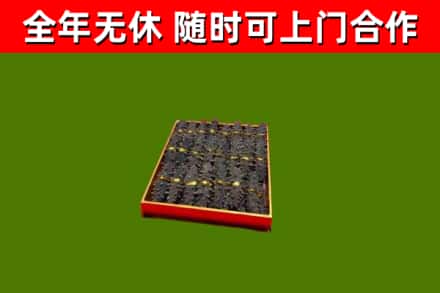 闵行区回收海参